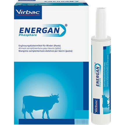 Energya Papaye Adultes 50+ Magnésium/Potassium 14 sachets