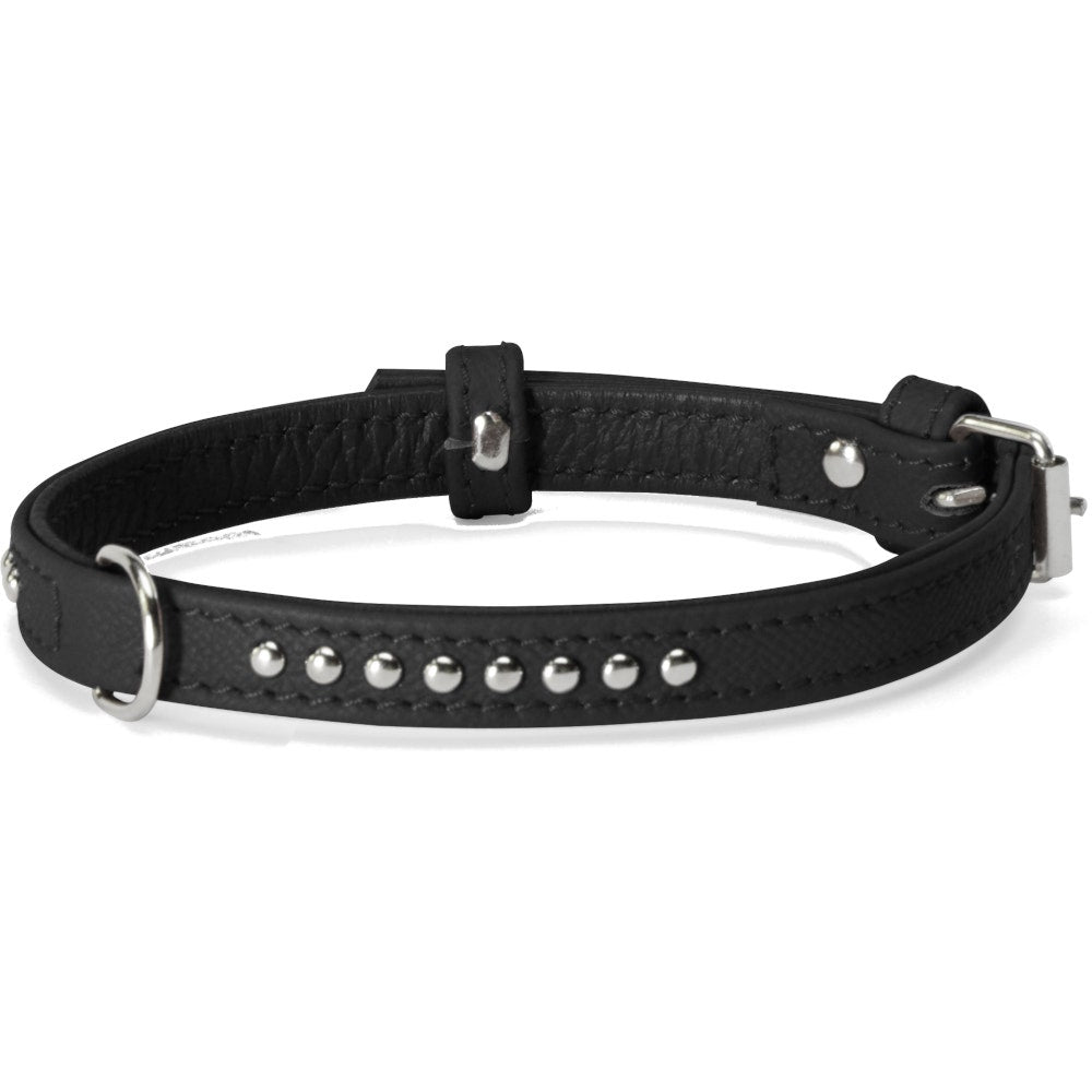 Camon Ensemble harnais + laisse pour chats