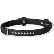 Camon Ensemble harnais + laisse pour chats