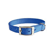 Camon Collare In Nylon Per Cani Colore Blu 15x450mm