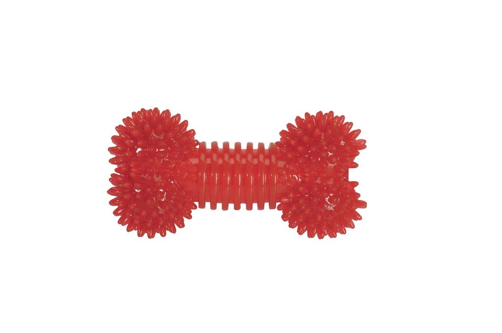 Camon Balles de rugby tressées en vinyle pour chiens 18/23 cm
