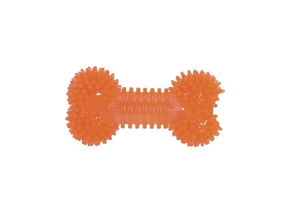Camon Walky Harness Harnais de sécurité pour chiens taille L
