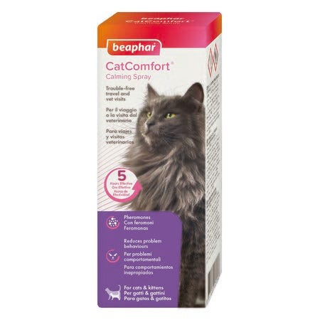 Dr. Hauschka Pinceau Correcteur