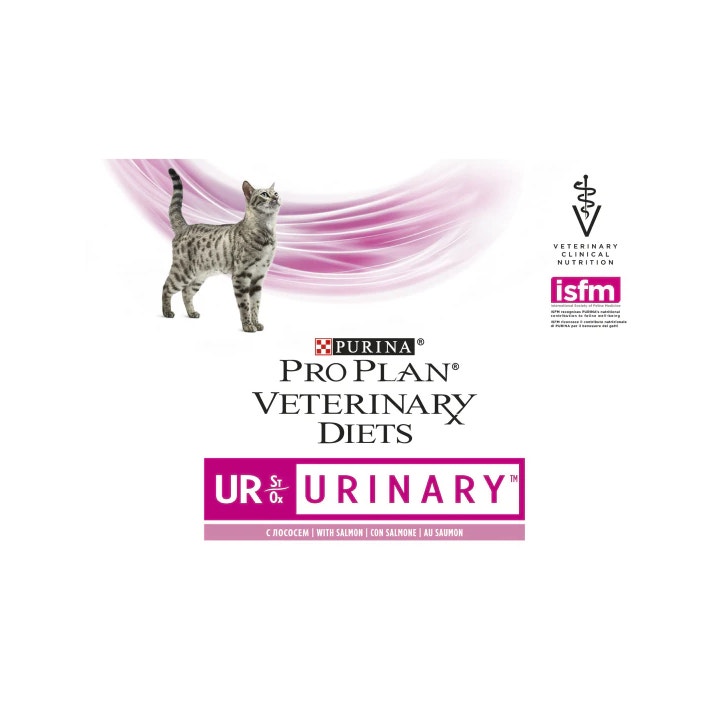 Mascara Instantané Retouche Parfaite Precision Non Tache 2 Brun 8 ml de L'Oréal Paris