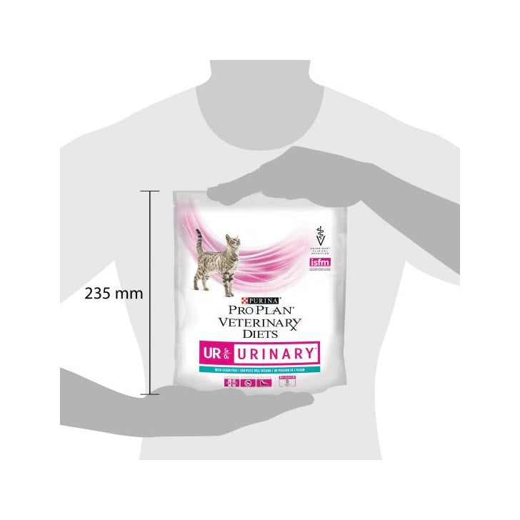 Cannelle bio 5 ml