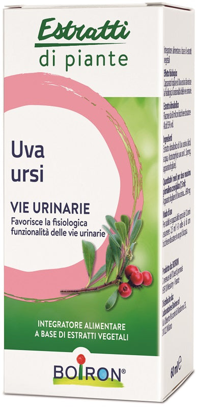 Dr Giorgini Lapavis Liquide sans alcool 500 ml