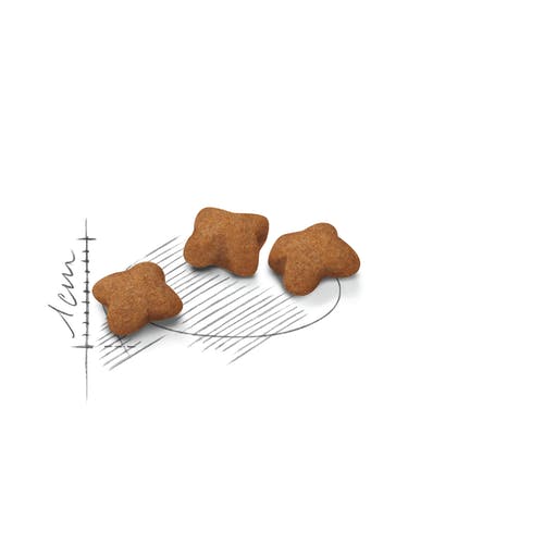 Royal Canin Kitten Sterilised Crocchette Per Gatti Sterilizzati 400g