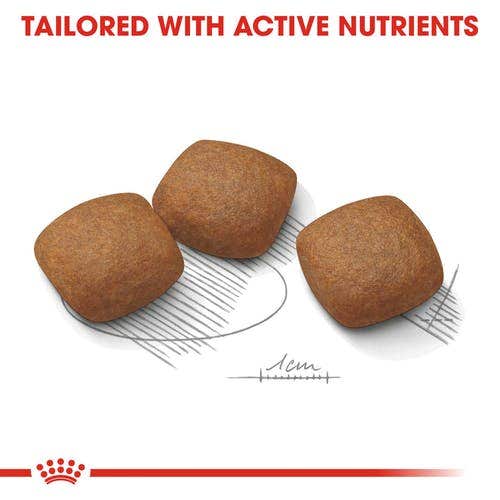 Royal Canin  Joint Care Crocchette Per Cani Taglia Grande Sacco 3kg