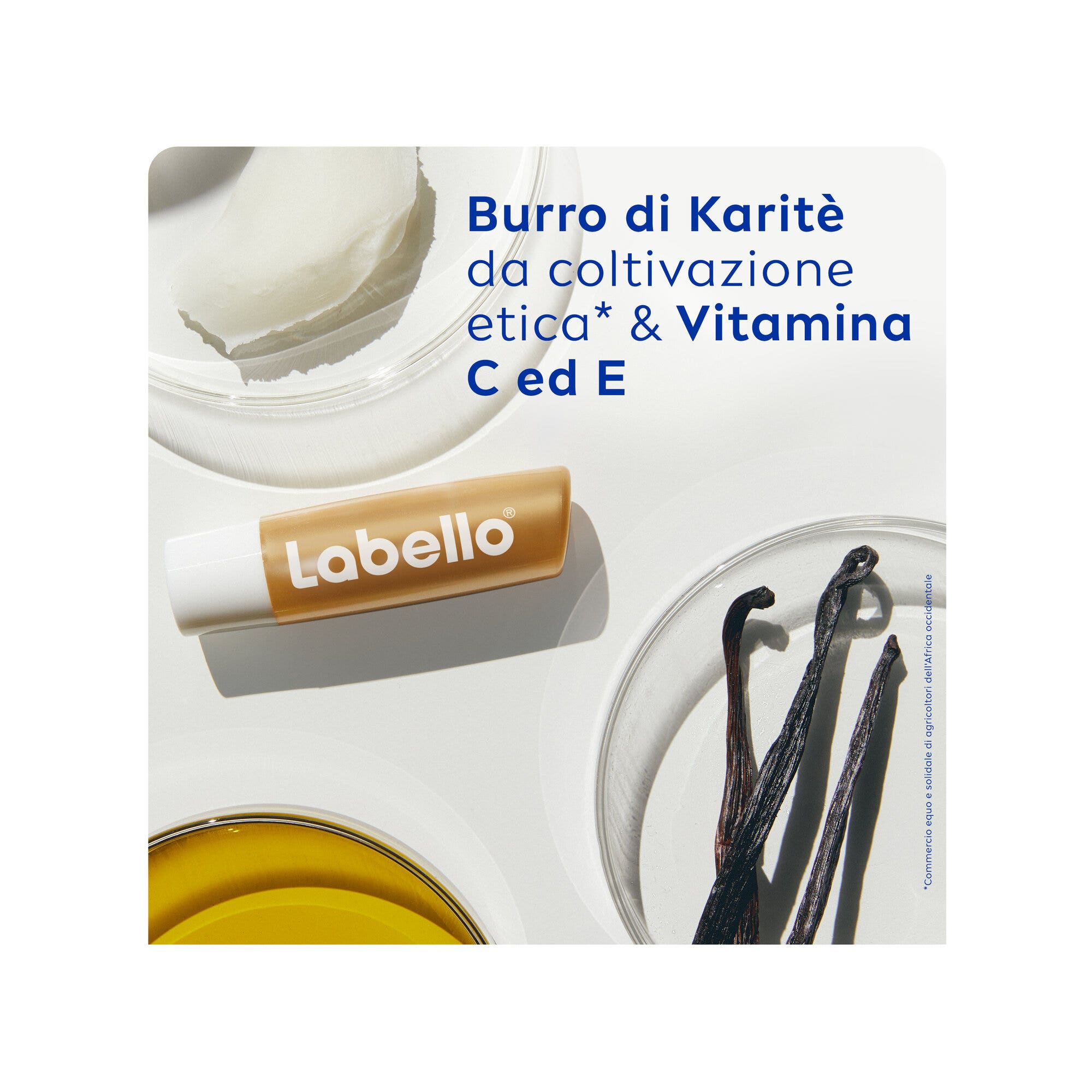 Essential Chien Renal 650 g