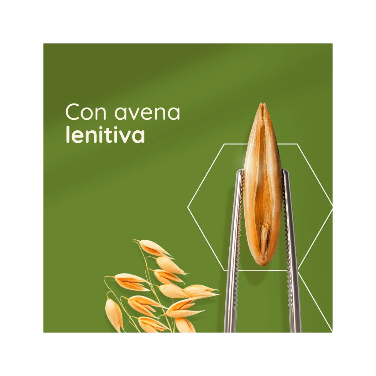 Farmina Natural & Delicious Quinoa Weight Management pour chats adultes 80 g