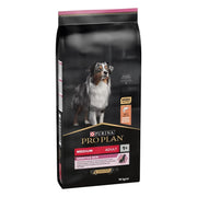 Rifertosan Femme 30 sachets