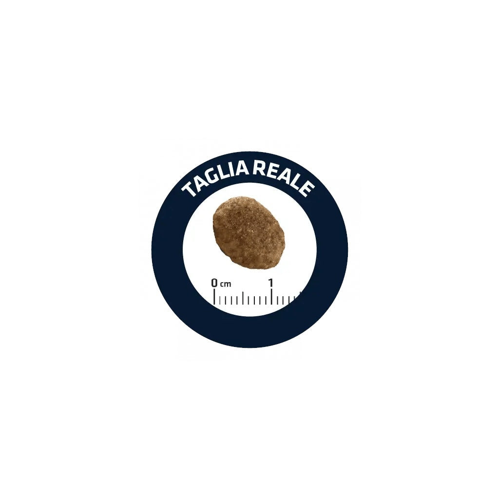 Natural Trainer Nourriture humide au saumon pour chats seniors, sachet de 85 g