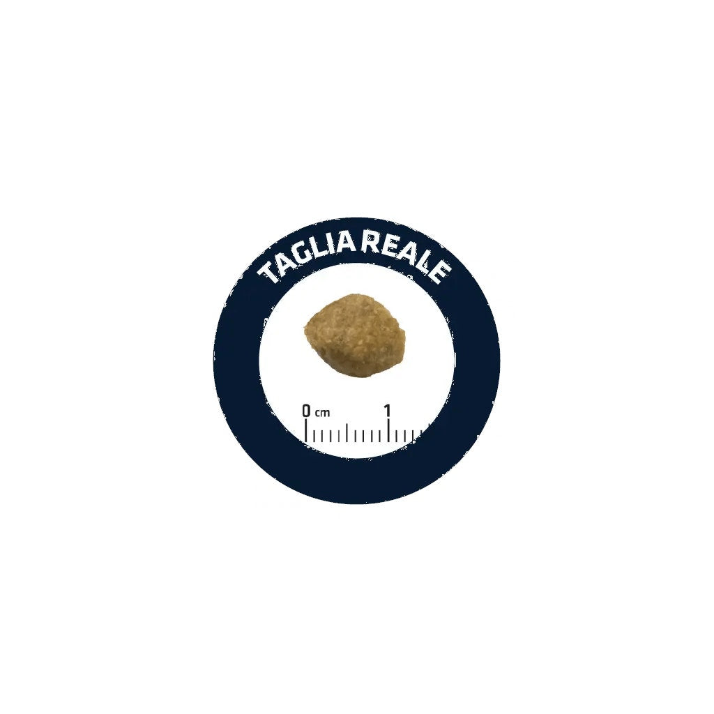 Natural Trainer Croquettes Jambon Cru et Riz pour Chiens Adultes de Taille Moyenne Sac de 3 kg