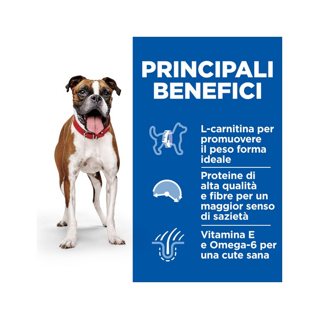 Chicco Perfect 5 Biberon 150 ml Beige - Débit LENT