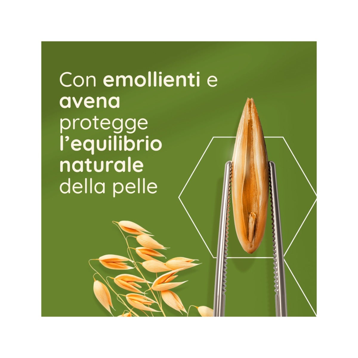 NUTRIFREE BISCO&GO CR NOC4X40G