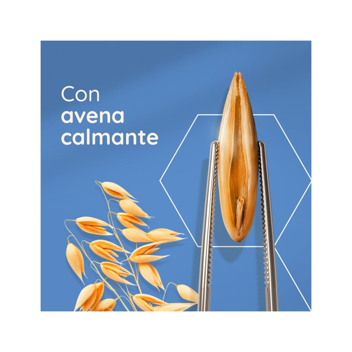 Sedafam Forte 30 comprimés