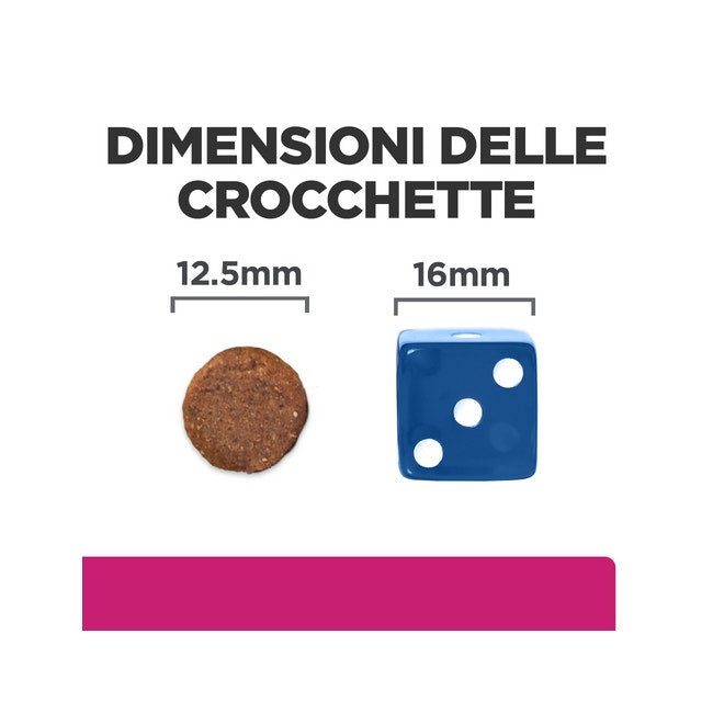 Forsan Henné Neutre Cheveux 2 sachets monodoses de 50 g