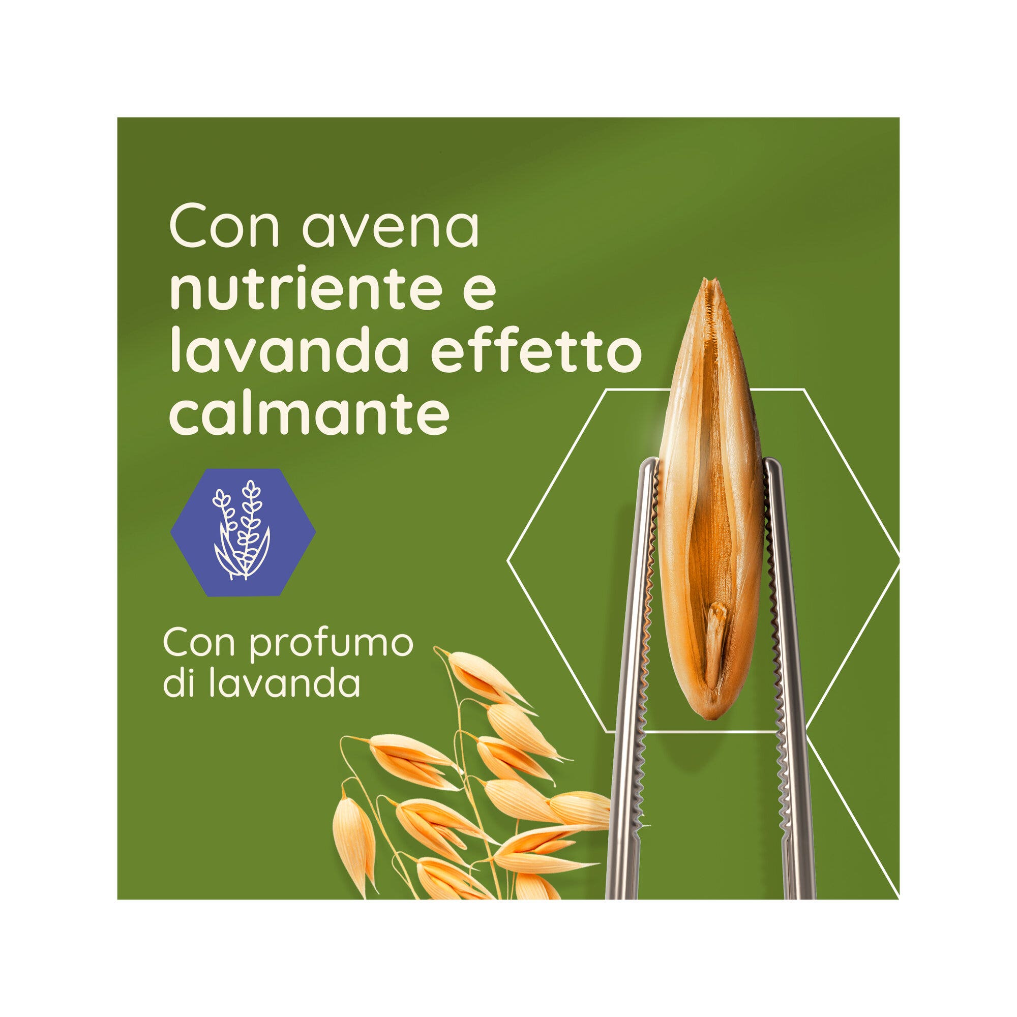 Arcangea Artikol 60 comprimés