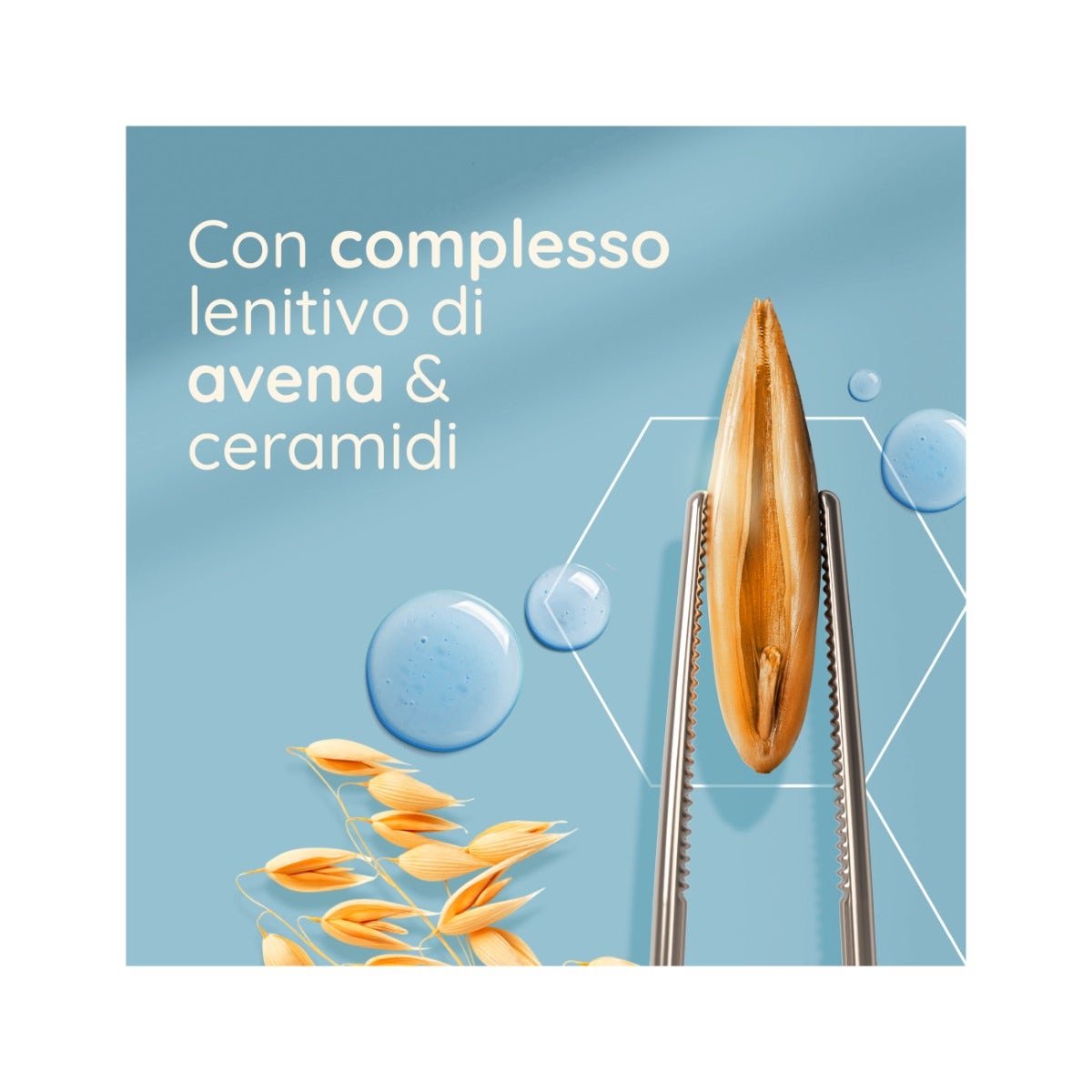Marpet Aequilibriavet Funzionali Renal Nourriture humide pour chats Boîte de 85 g