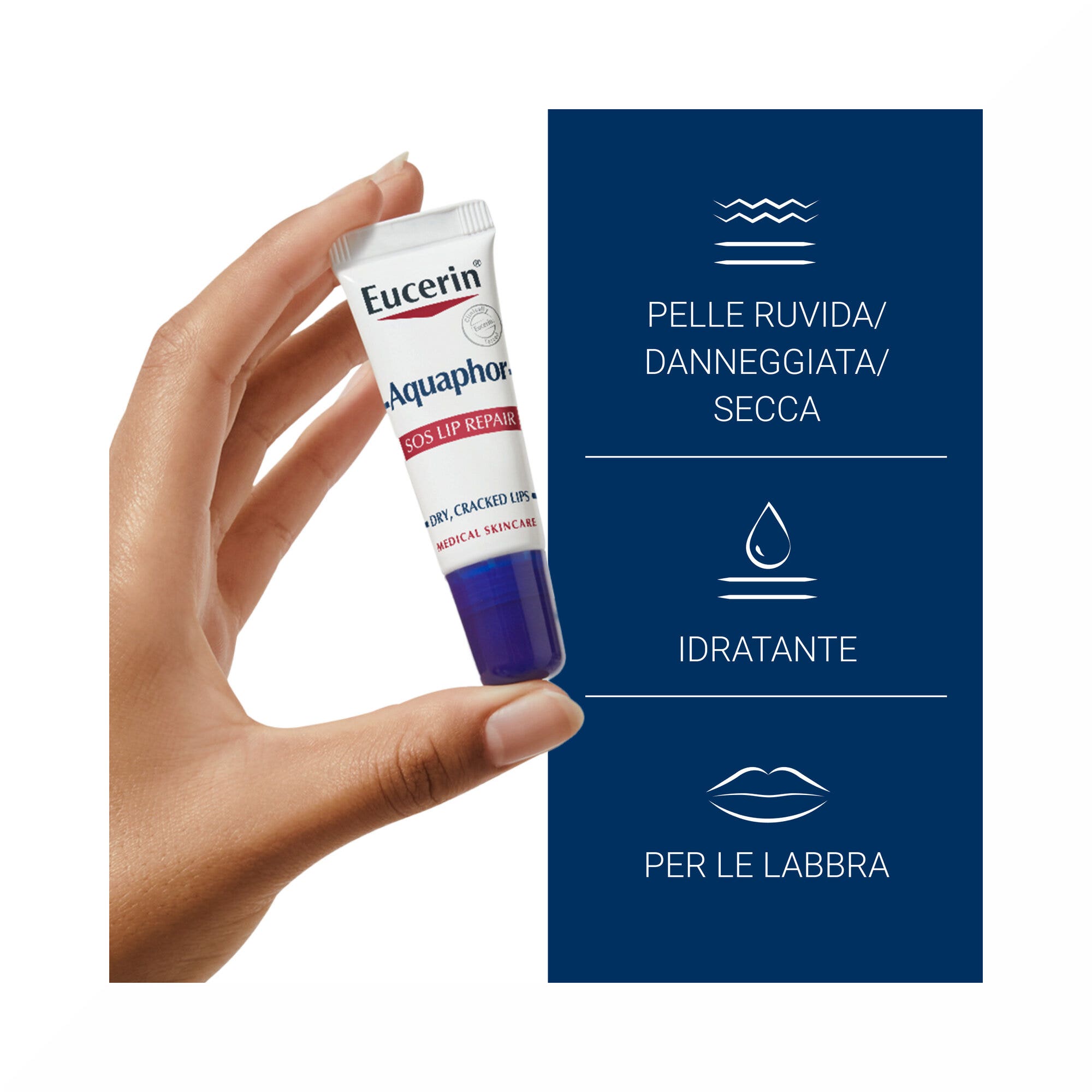 Cetilsan Gel désinfectant pour les mains à l'aloe vera 100 ml