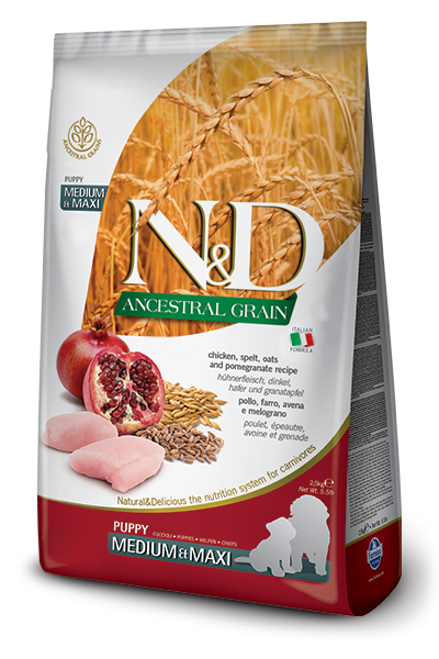 Farmina N&D Ancestral Grain Poulet et Grenade Chiens Chiots de Taille Moyenne et Grande Sac de 12 kg