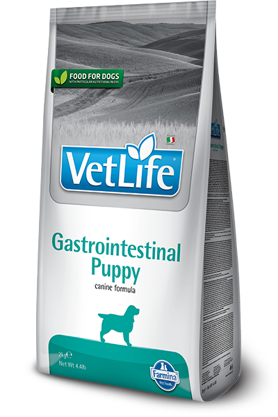 Farmina Vet Life Gastrointestinal Puppy Croquettes pour chiots, sac de 2 kg