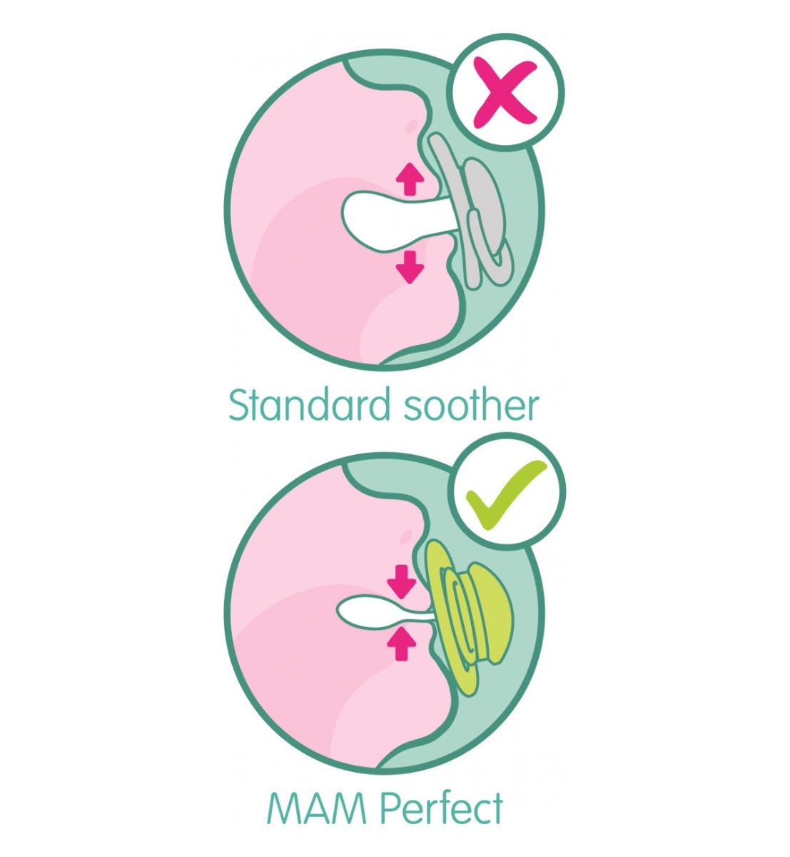 Mam Perfect Succhietto Per Bambini 2-6 Mesi 1 Pezzo Fantasia Assortita