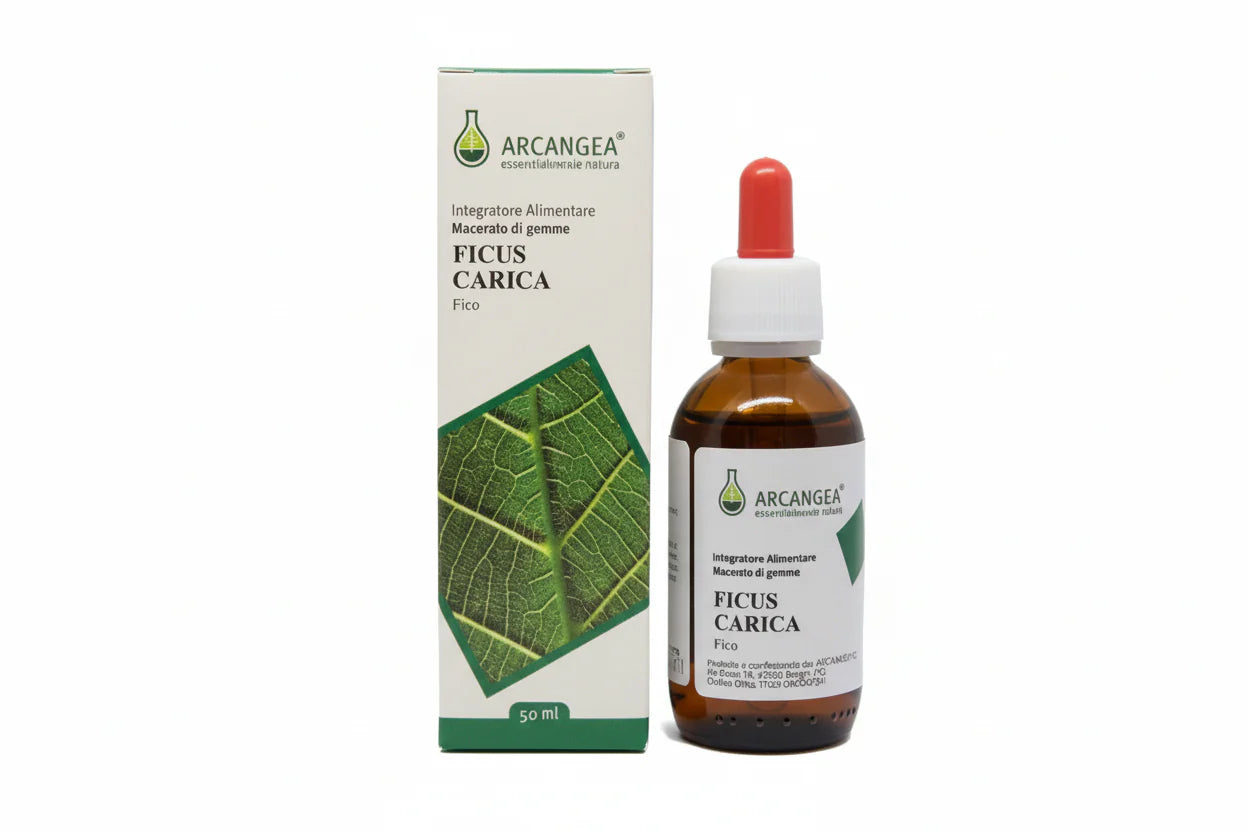 Arcangea Ficus Carica Bio 33 Extrait de bourgeons 50 ml