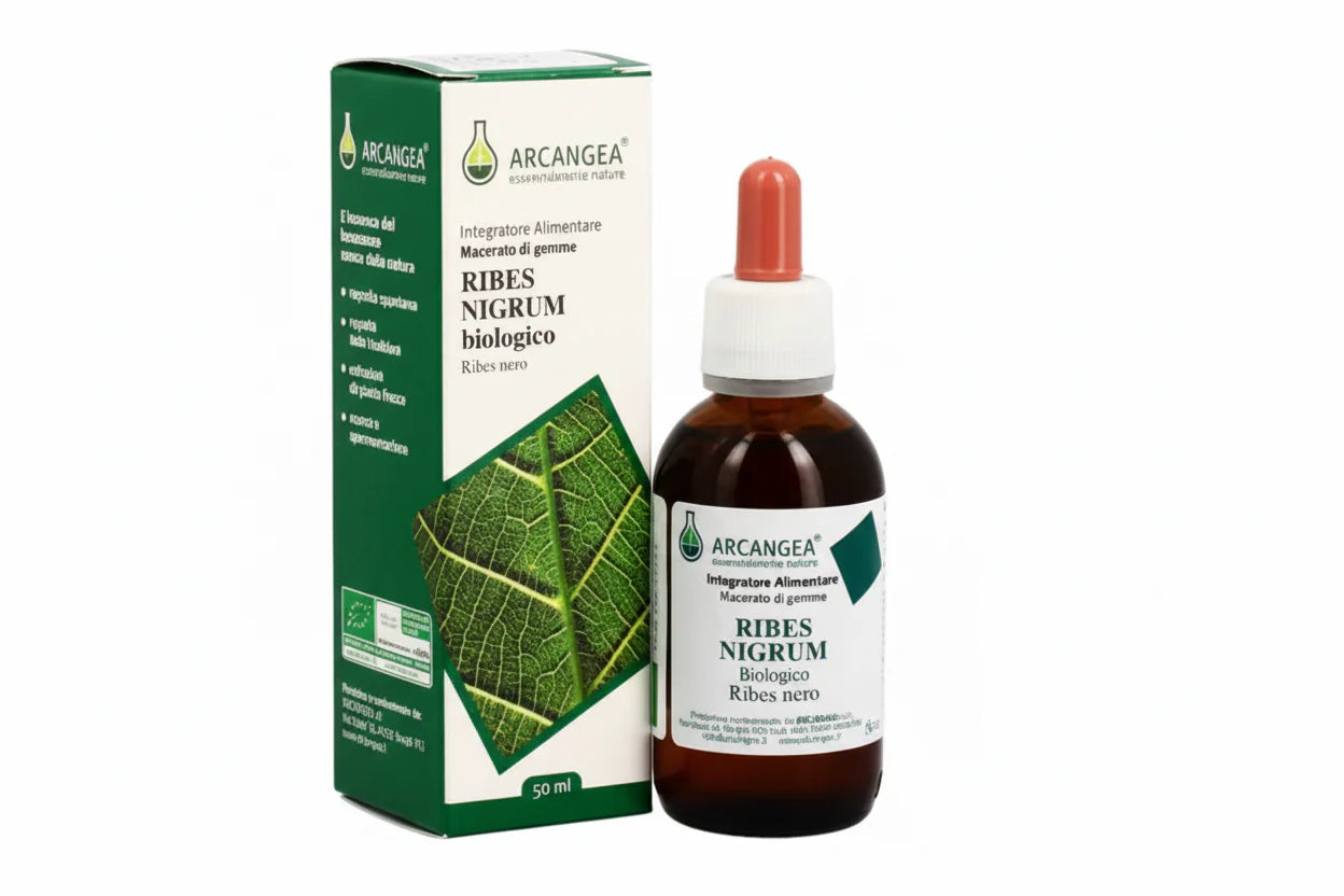 Arcangea Ribes Nigrum Bio Extrait de bourgeons 33 degrés 50 ml