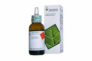 Arcangea Betula Verrucosa Graines Extrait de bourgeons 33 50 ml