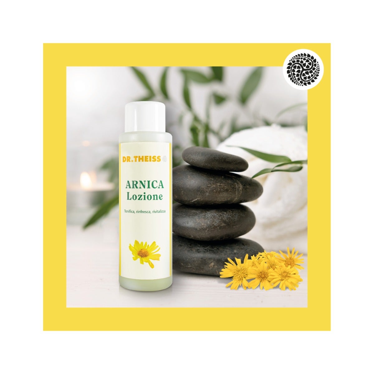 Dr Theiss Lotion à l'Arnica 250 ml
