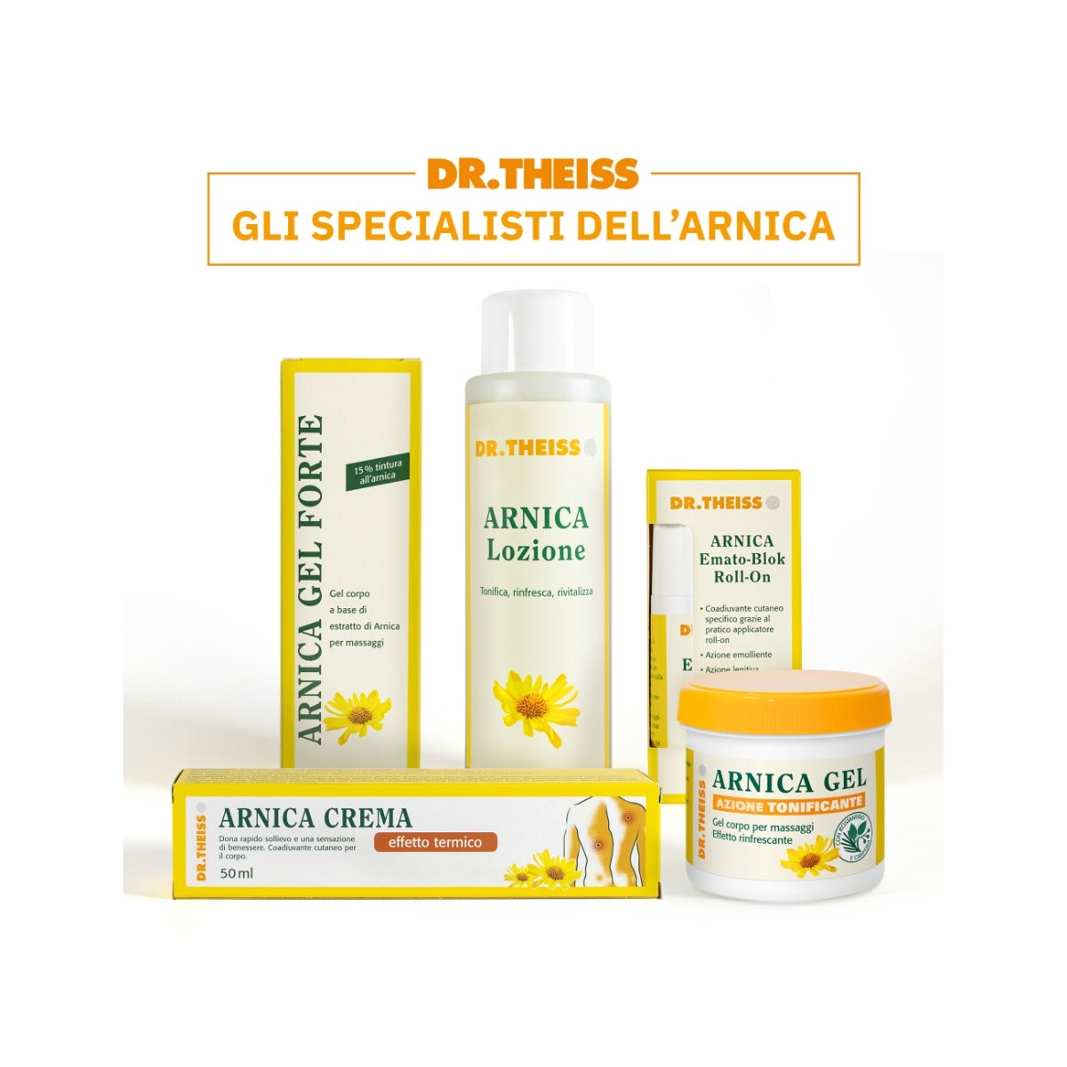 Dr Theiss Lotion à l'Arnica 250 ml