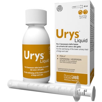 Sifarma Gel désinfectant pour les mains 250 ml