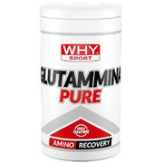 Why Sport Glutammina Pure 500g