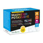 Erba Vita Magnésium et Potassium + Vitamine C, saveur citron, 20 sachets