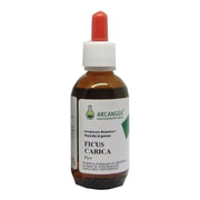 Arcangea Ficus Carica Bio 33 degrés, extrait de bourgeons 100 ml