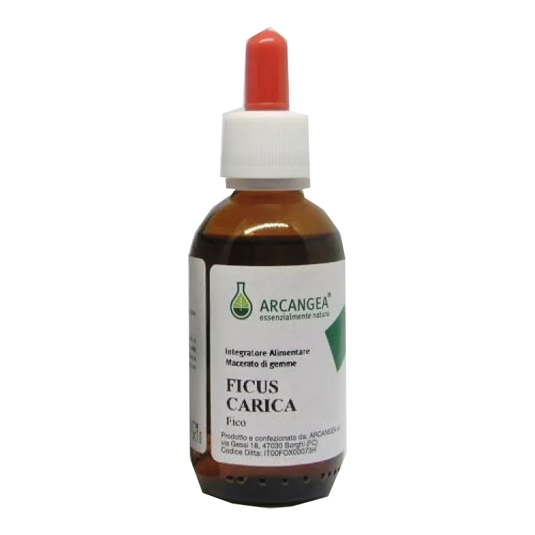 Arcangea Ficus Carica Bio 33 degrés, extrait de bourgeons 100 ml