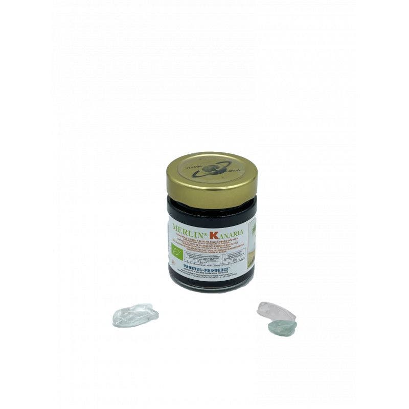 Vegetal Progress Merlin Kanaria Linfa Palma Biologica 170g