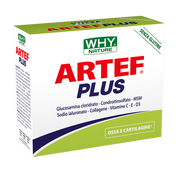 Whynature Artef Plus 24 sachets