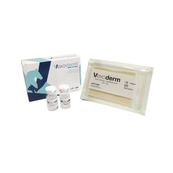 Bfactory Vexoderm Pansement stérile 10 x 7 cm + 2 flacons de 10 ml