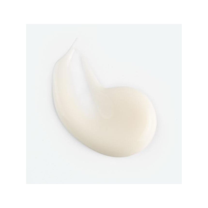 Klorane Crème Purifiante Visage Menthe Aquatique Bio 40 ml