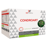 Condroart 30 Bustine