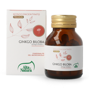 Alta Natura Ginkgo Biloba 100 comprimés