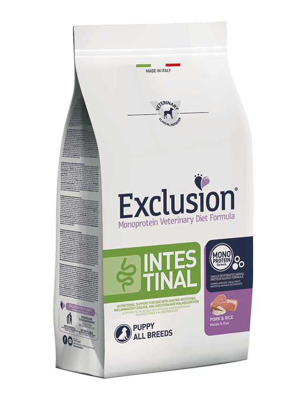 Exclusion Monoprotein Veterinary Diet Formula Intestinal Croquettes Porc/Riz Pour Chiots Sac 800 g
