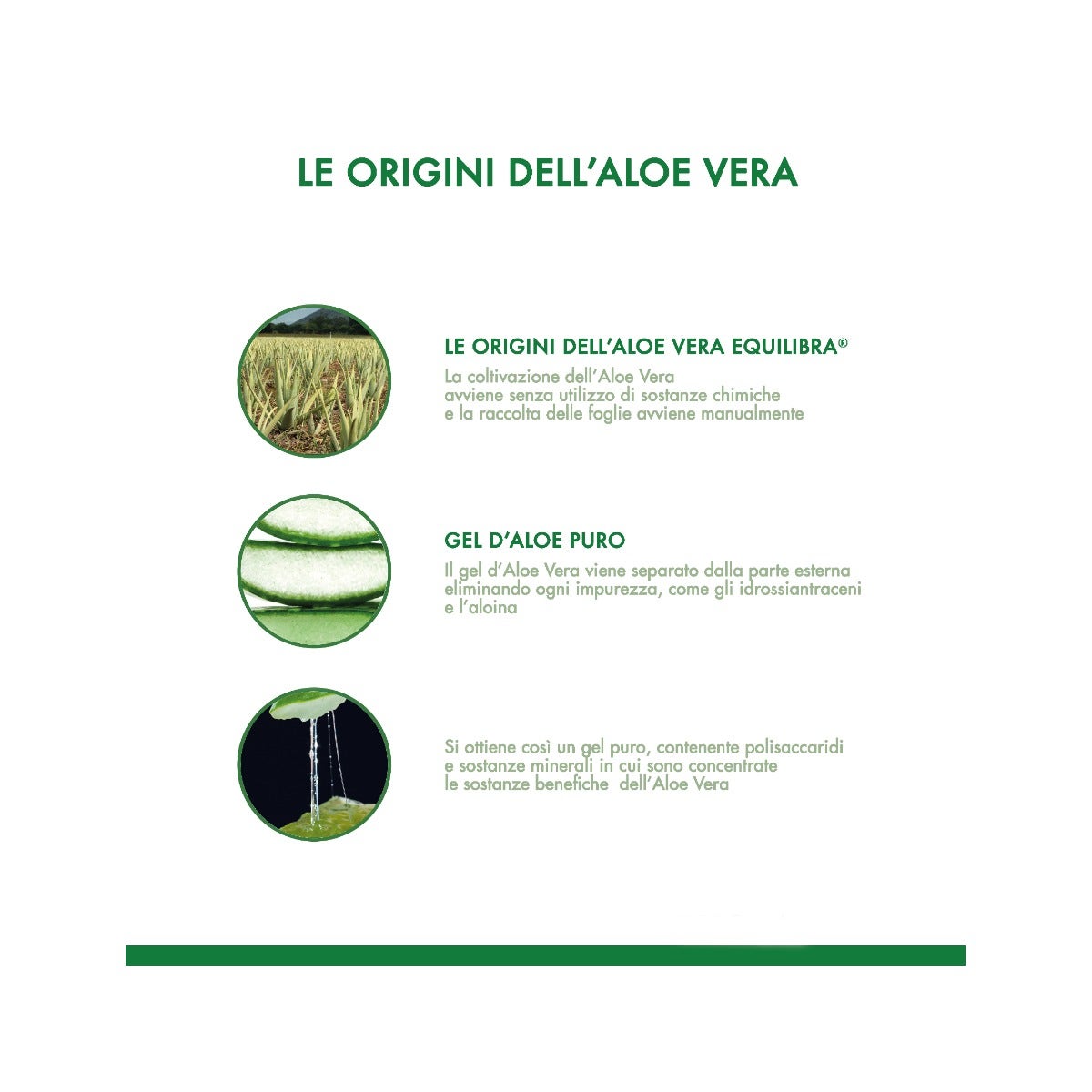 Equilibra Aloe Vera Drena 500ml