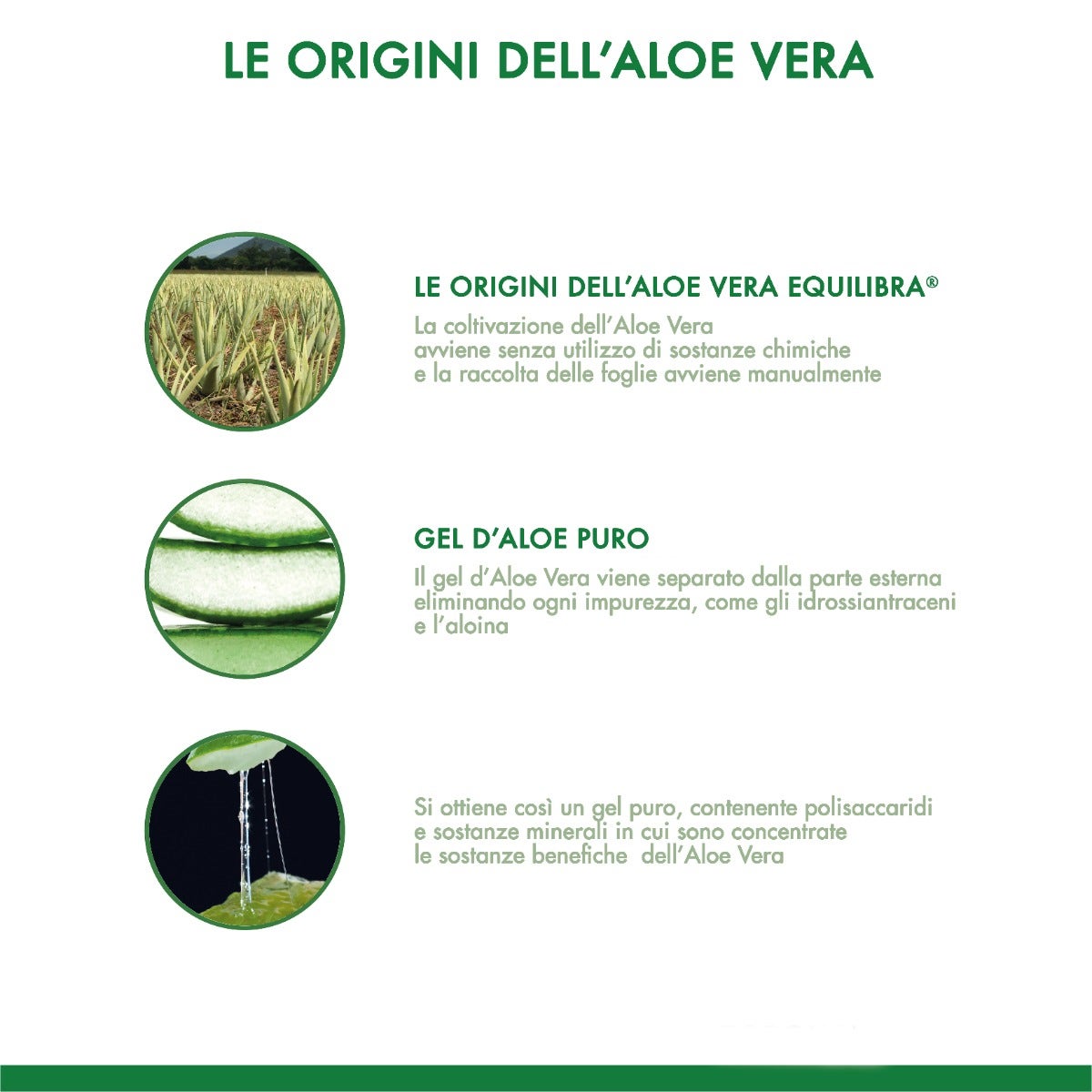 Equilibra Buon Aloe Vera 500ml