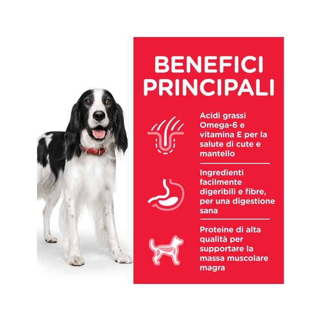 Hill's Science Plan Bouchées au poulet pour chiens adultes Boîte de 370 g