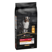 Purina Pro Plan Medium Adult Everyday Nutrition Croquettes au poulet pour chiens adultes de taille moyenne, sac de 14 kg