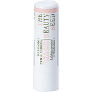 Bioearth Balsamo Stick Labbra Aloe E Acido Ialuronico 1 Pezzo