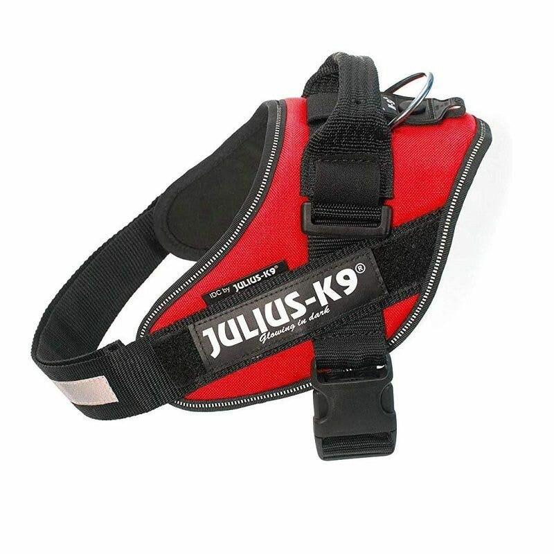 JULIUS K9 IDC Powerharness pettorina per cani colore rosso taglia 2